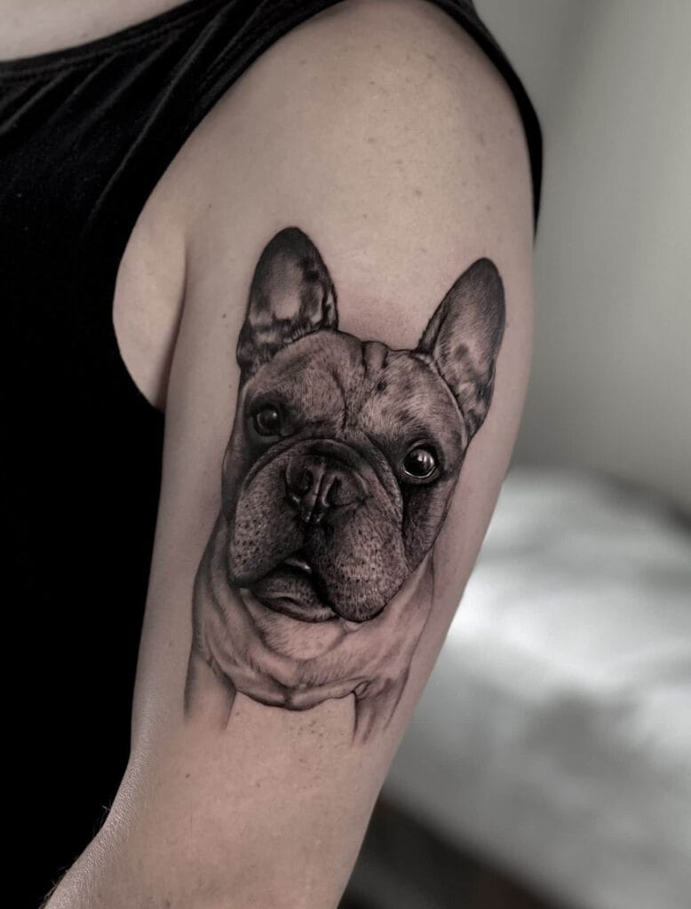 A detailed tattoo of a bulldog inked on a person's arm, showcasing its fierce expression and unique design.